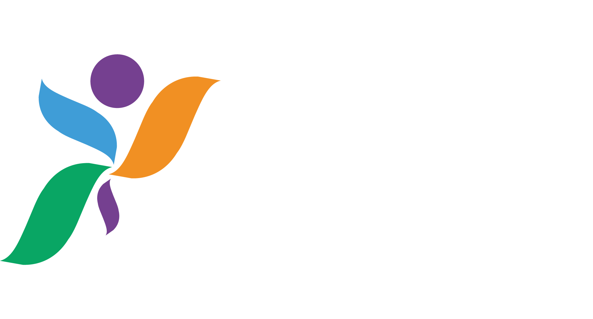 LOGO LAPIS DE SEDA